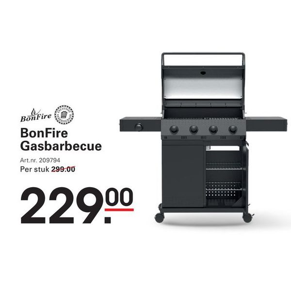 BonFire Gasbarbecue
