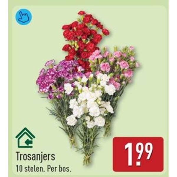 Trosanjers