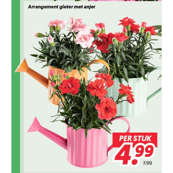 Arrangement gieter met anjer