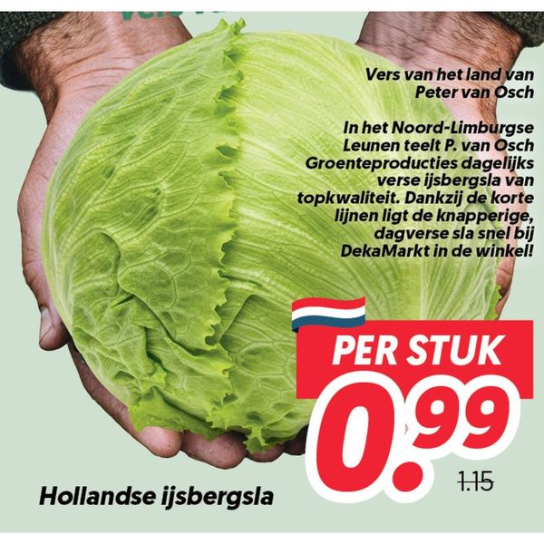 Hollandse ijsbergsla