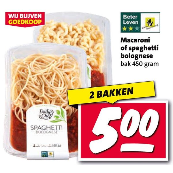 Macaroni of spaghetti bolognese