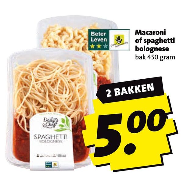Macaroni of spaghetti bolognese