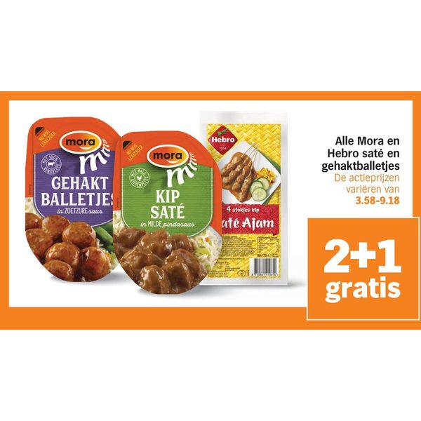Alle Mora en Hebro saté en gehaktballetjes