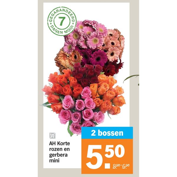 AH Korte rozen en gerbera mini