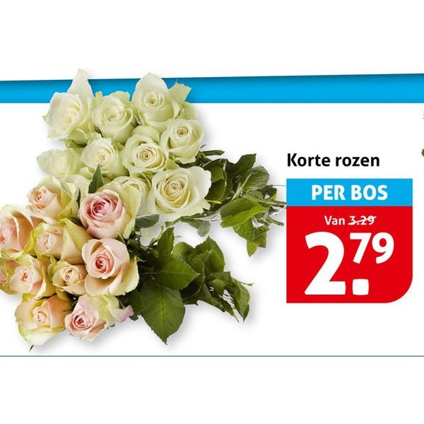 Korte rozen