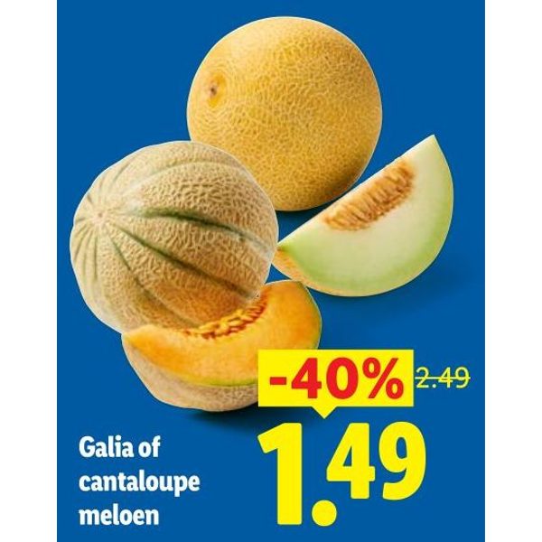 Galia of cantaloupe meloen