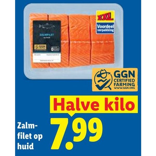 Zalm- filet op huid