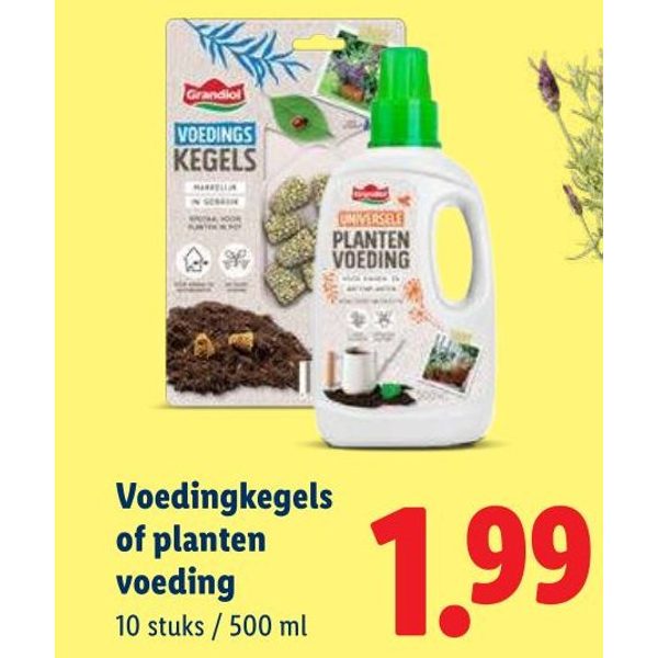 Voedingkegels of planten voeding