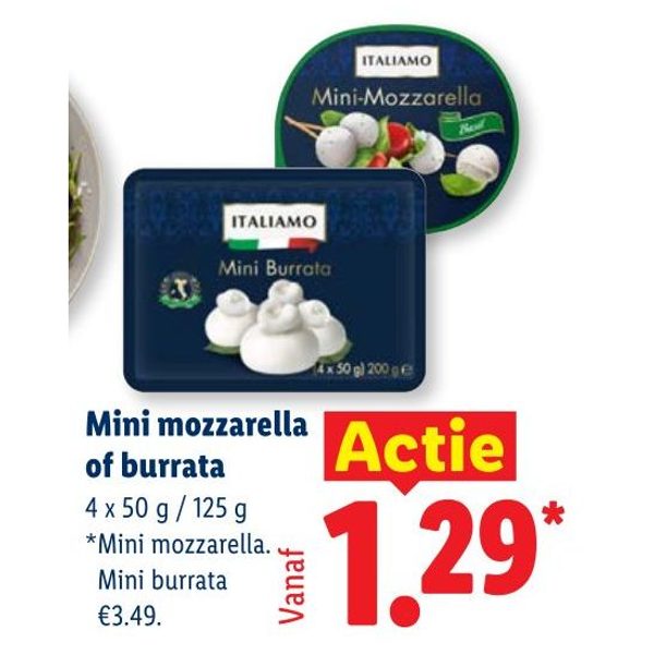 Mini mozzarella of burrata