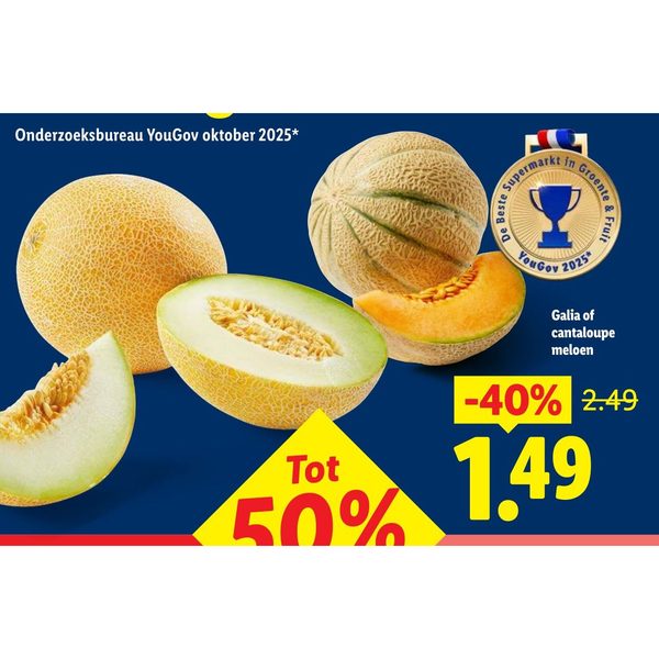 Galia of cantaloupe meloen