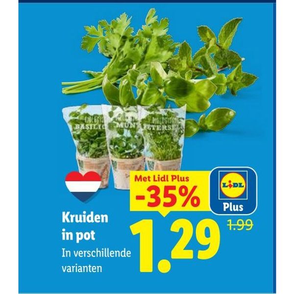 Kruiden in pot