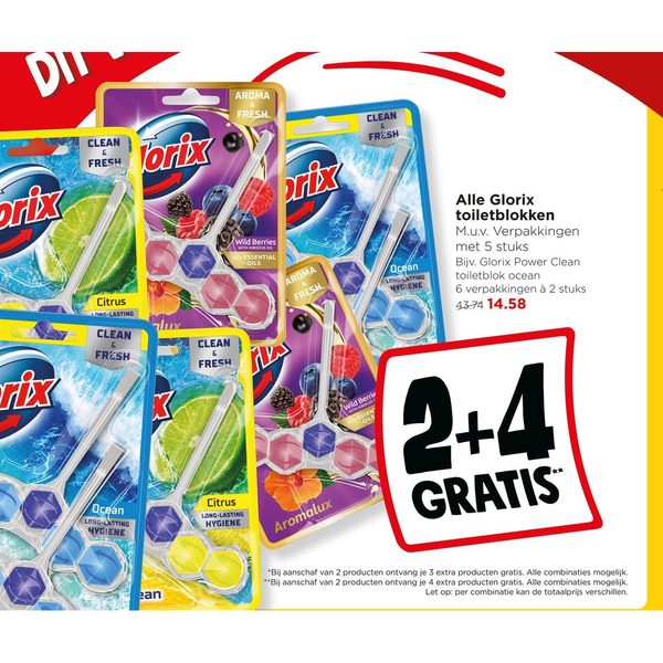 Alle Glorix toiletblokken
