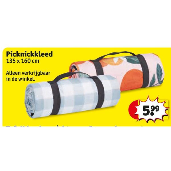 Picknickkleed