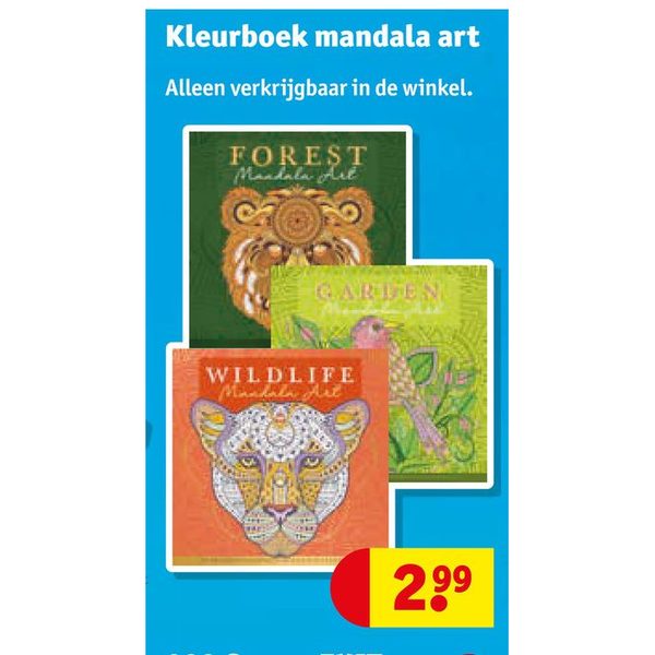 Kleurboek mandala art