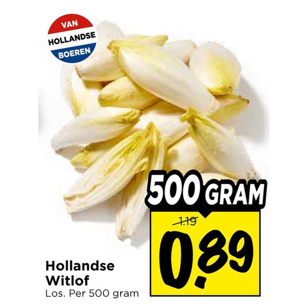 Hollandse Witlof