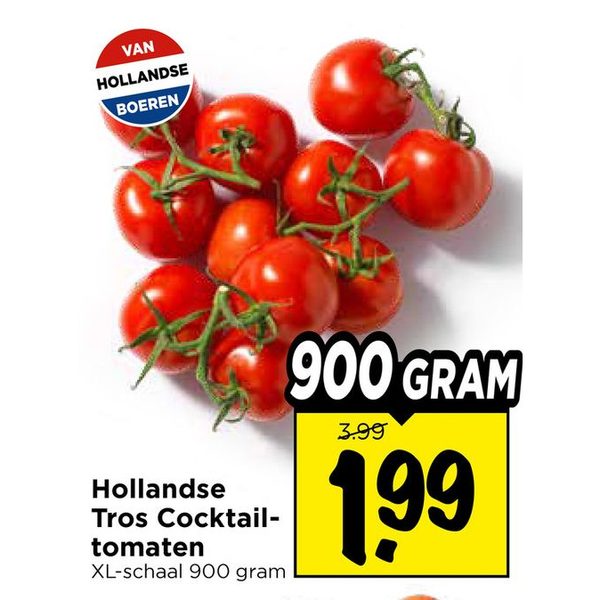 Hollandse Tros Cocktailtomaten