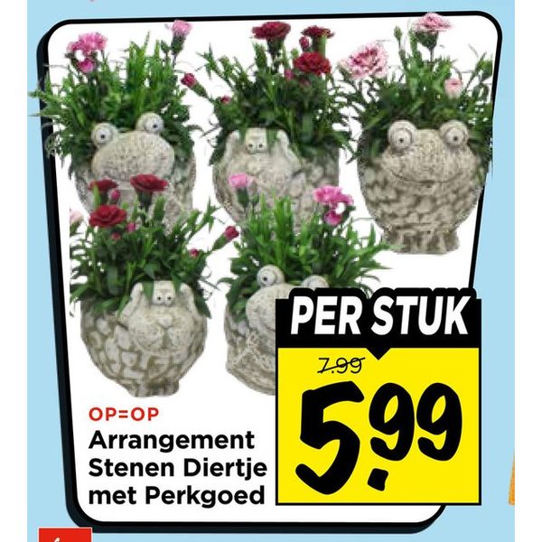 Arrangement Stenen Diertje met Perkgoed