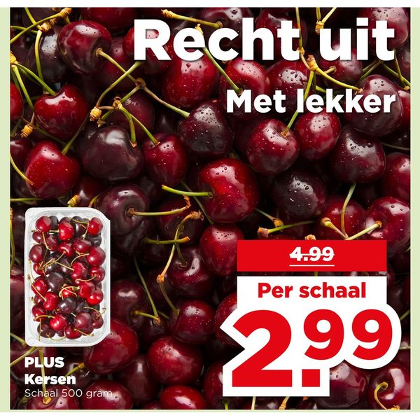 PLUS Kersen