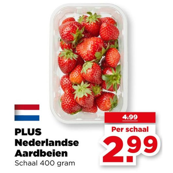 PLUS Nederlandse Aardbeien