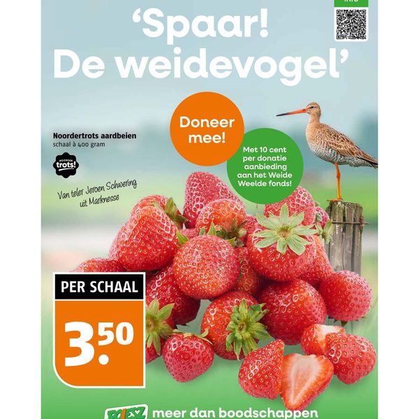 Noordertrots aardbeien