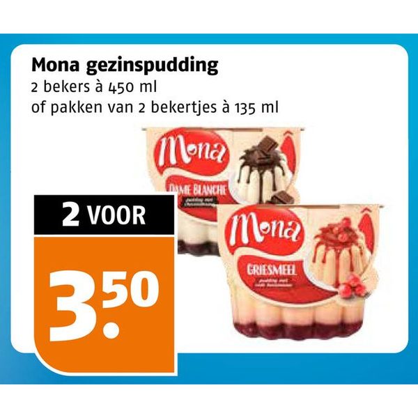 Mona gezinspudding
