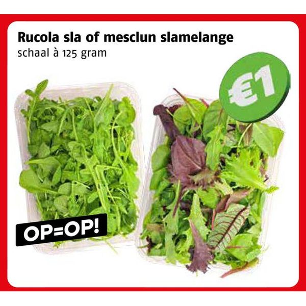 Rucola sla of mesclun slamelange