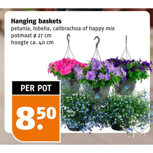 Hanging baskets