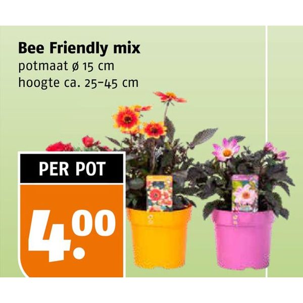 Bee Friendly mix