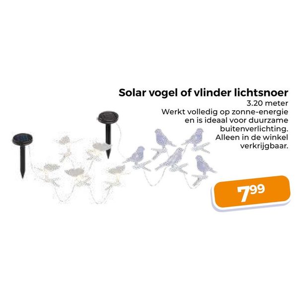 Solar vogel of vlinder lichtsnoer