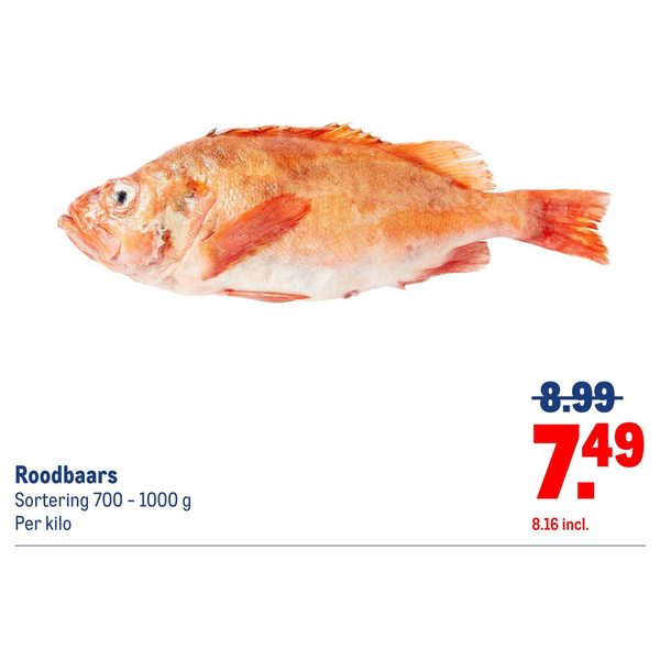 Roodbaars