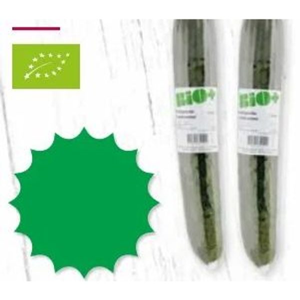 Bio+ Komkommer